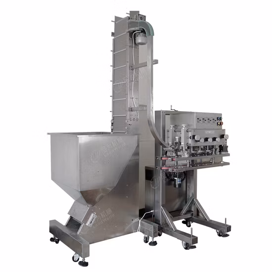 Automatische Produktionslinie für Bohnen, Obst und Gemüse in Dosen